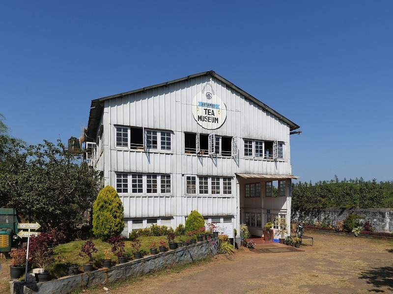 Wayanad Tea Museum